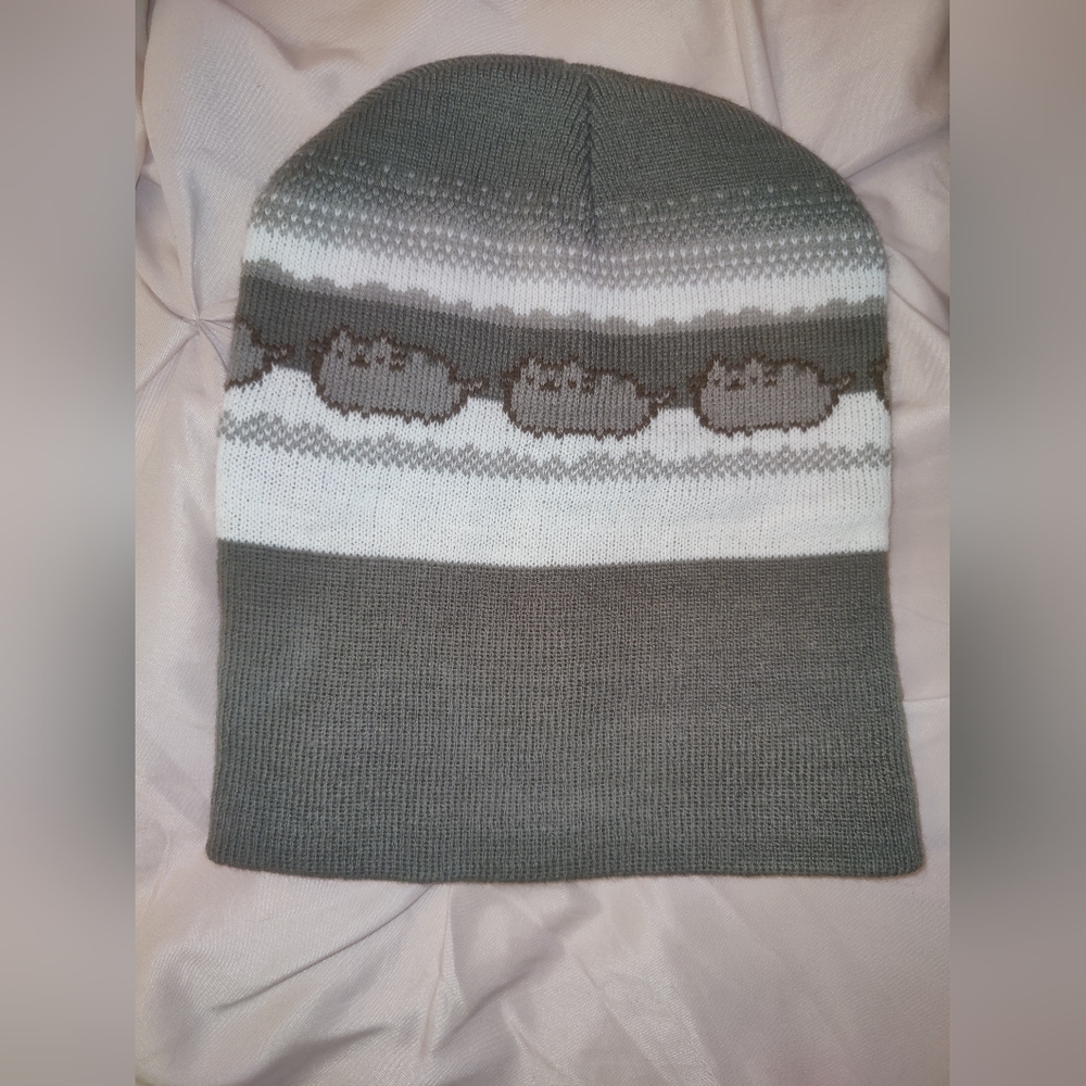 Pusheen beanie hat